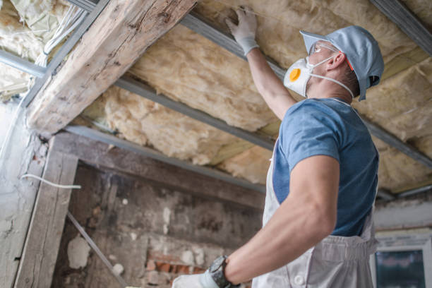 Best Energy-efficient Insulation  in Cheswick, PA
