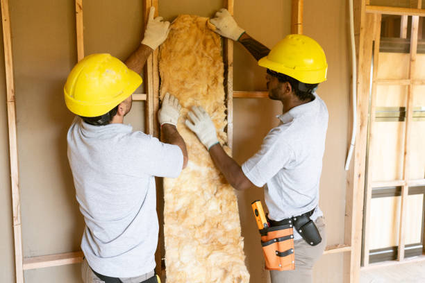 Best Professional Insulation Contractor  in Cheswick, PA