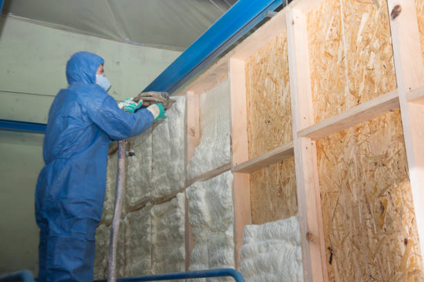 Best Insulation Removal  in Cheswick, PA